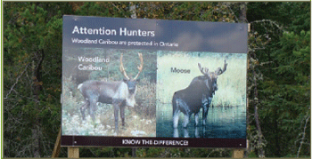 Photo d’un panneau installé dans le cadre de la répartition continue pour informer les chasseurs qu’il y a des caribous dans la région et qu’ils doivent savoir faire la différence entre un caribou et un orignal.