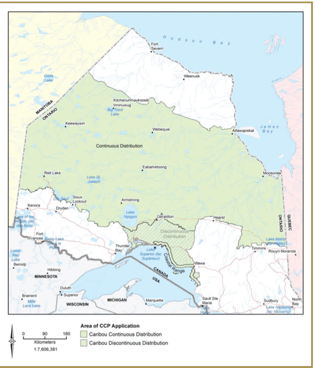 Cette carte du nord de l’Ontario montre la région où s’applique le Plan de protection du caribou. La Répartition continue figure en vert tandis que la Répartition discontinue est en vert rayé de lignes diagonales vertes.