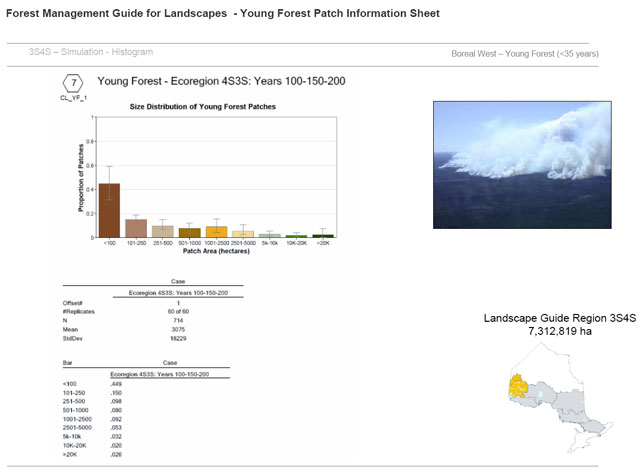 This is an image showing the young forest patch size indicator report from Ontario's Landscape Tool (OLT).