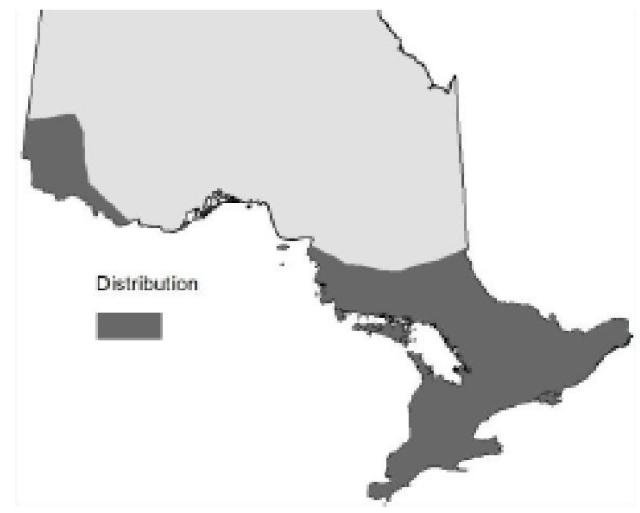 Map of Ontario showing the relative occurence of Largetooth aspen.