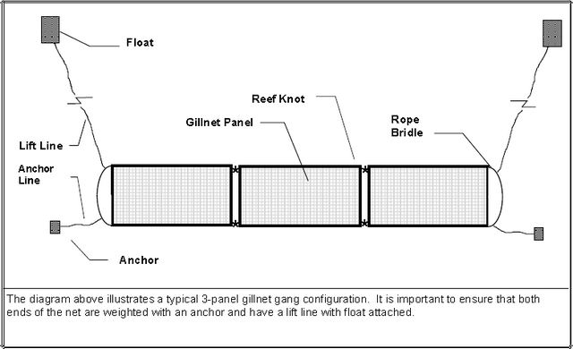 This is a diagram of a typical 3-panel gillnet gan configuration.
