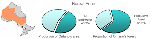 Pie area indicating Boreal Forest proportion of Ontario’s area and forest