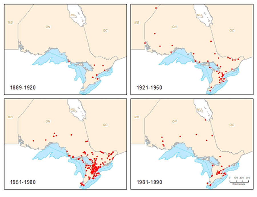 Maps showing the historical distribution of the Transverse Lady Beetle for the period 1889 to 1990.