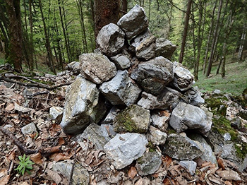 Photo d’un amas de roches dans un endroit boisé. Cet amas de roches peut fournir un habitat à diverses espèces sauvages.
