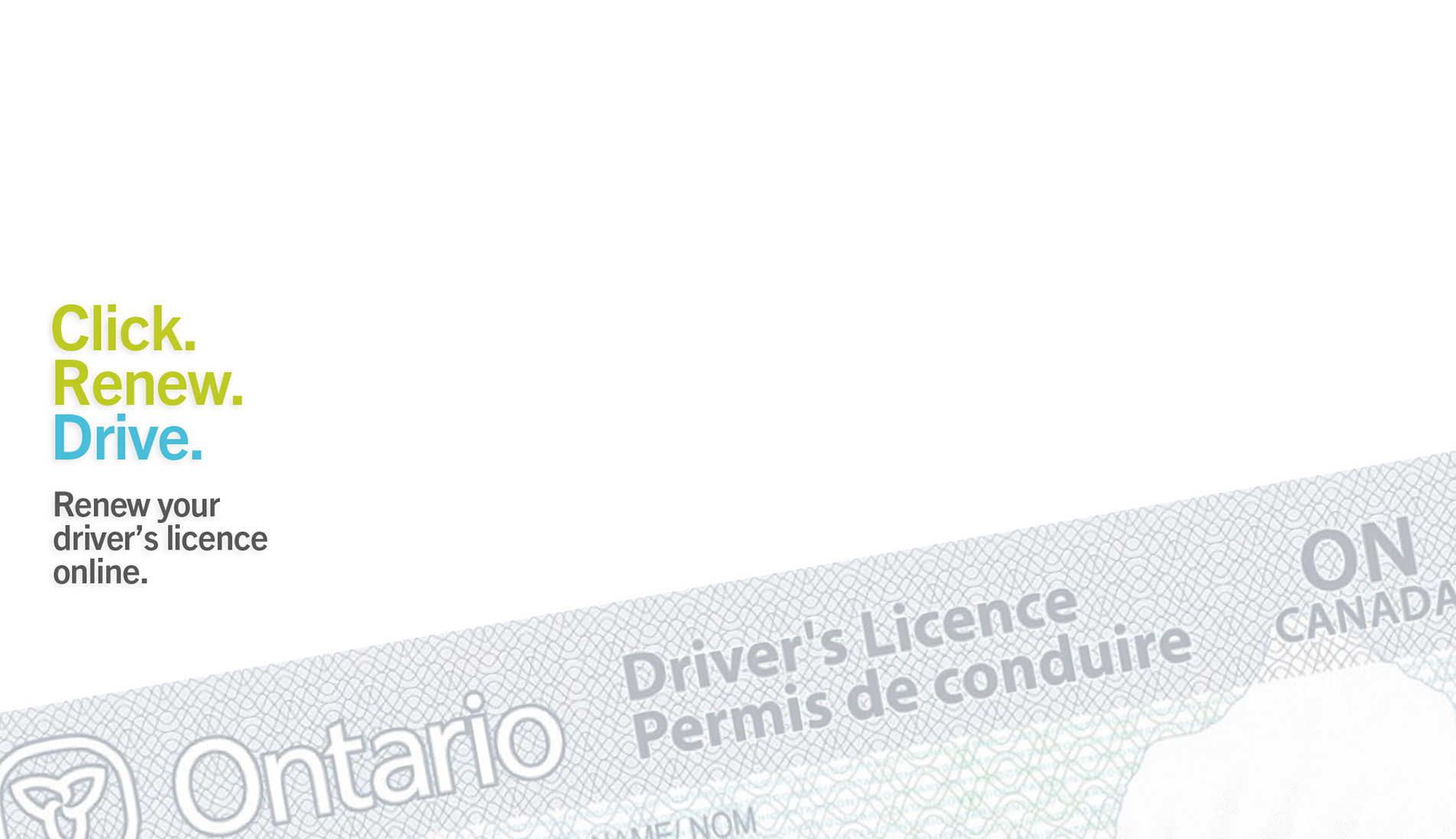 service ontario used car package online