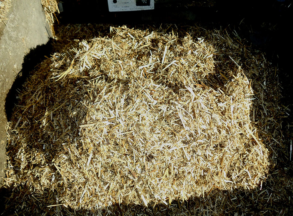 Ration totale mélangée à base d'ensilage préfané et de paille.