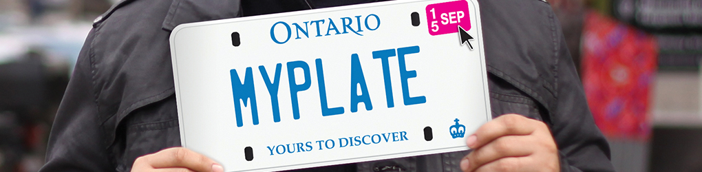 Renew a licence plate sticker | 0