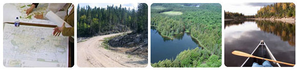 Plans forestiers, vue d’une forêt, canot sur un lac