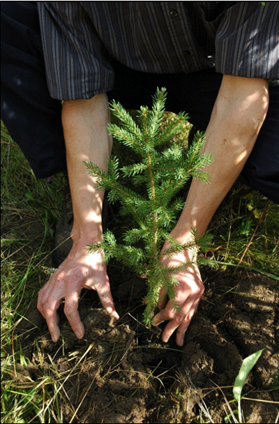 Planting trees in the Lake Simcoe watershed to protect water
