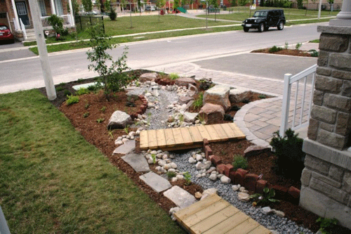 Rain garden treating residential roof runoff implemented through TRCA’s Sustainable Neighbour Acton Plan program