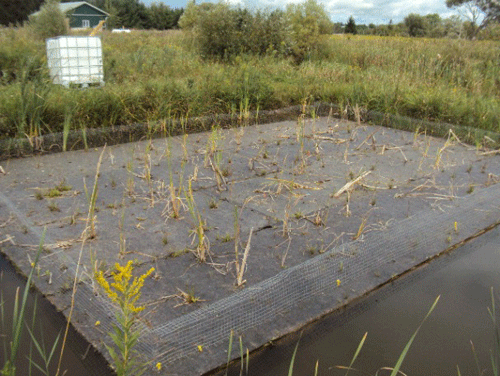 Floating wetland before vegetation growth