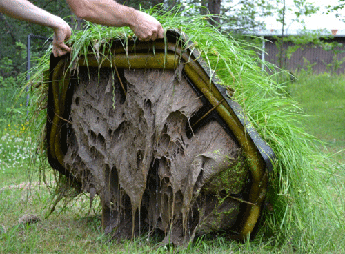 Root mass on the underside of a floating wetland