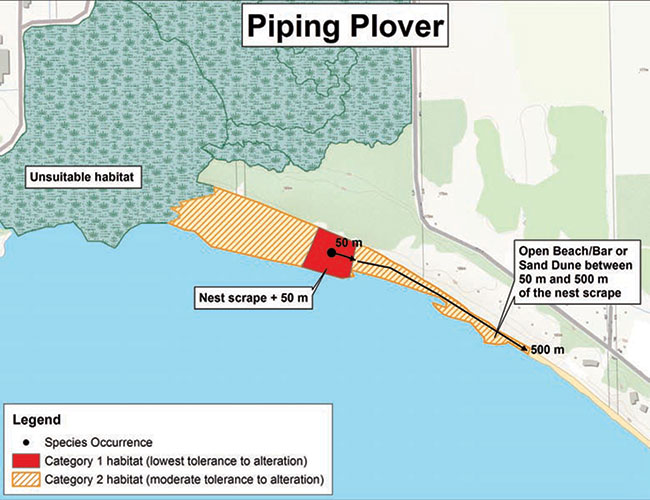 Diagram illustrating a sample application of the general habitat protection for Piping Plover, depicting the habitat categorization described in this document.