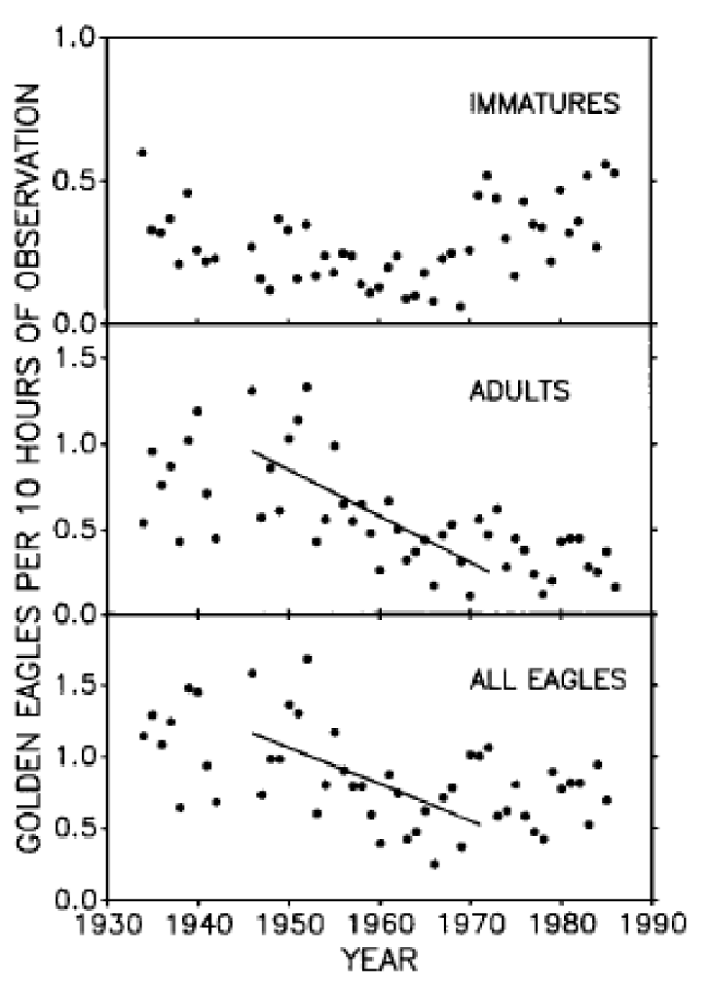 Graph of Golden Eagles counted during autumn migration at Hawk Mountain, Pennsylvania, 1934-1986. The graph is split into three panes showing numbers of: a) immature eagles; b) adult eagles; and c) all eagles. While no pattern emerges for immature eagles, there is a statistically significant decline in the number of adult, and total, Golden Eagles between 1946 and 1973. This period of decline was a period of DDT use.