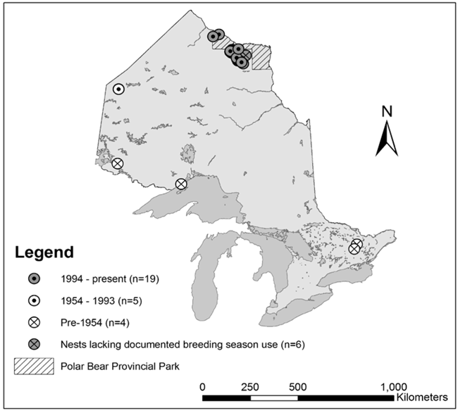 Map of Golden Eagle nest sites in Ontario. All recently-documented nests (since 1994) have been found in the Hudson Bay Lowlands region. Polar Bear Provincial Park is also indicated on the map.