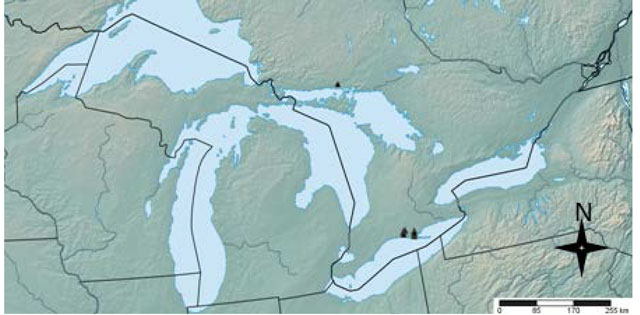 Map showing distribution of Riverine Clubtail in Ontario. Black triangles represent areas where the Riverine Clubtail has been reported