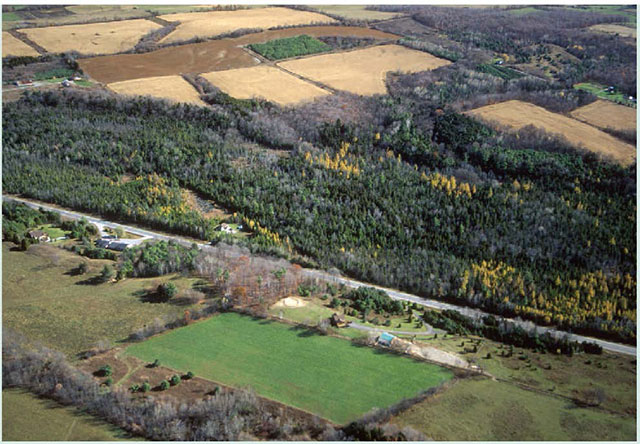 Lake Simcoe - Rideau Ecoregion (<abbr>6E</abbr>) Baltimore Creek Area of Natural and Scientific Interest, Port Hope area