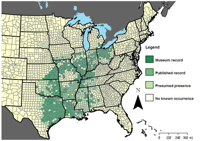Map of the Small-mouthed Salamander’s historical range in the United States. Historical United States range extends from Texas, Louisiana, Mississippi and western Alabama north to extreme southeastern Michigan, northern Ohio (including islands in Lake Erie).