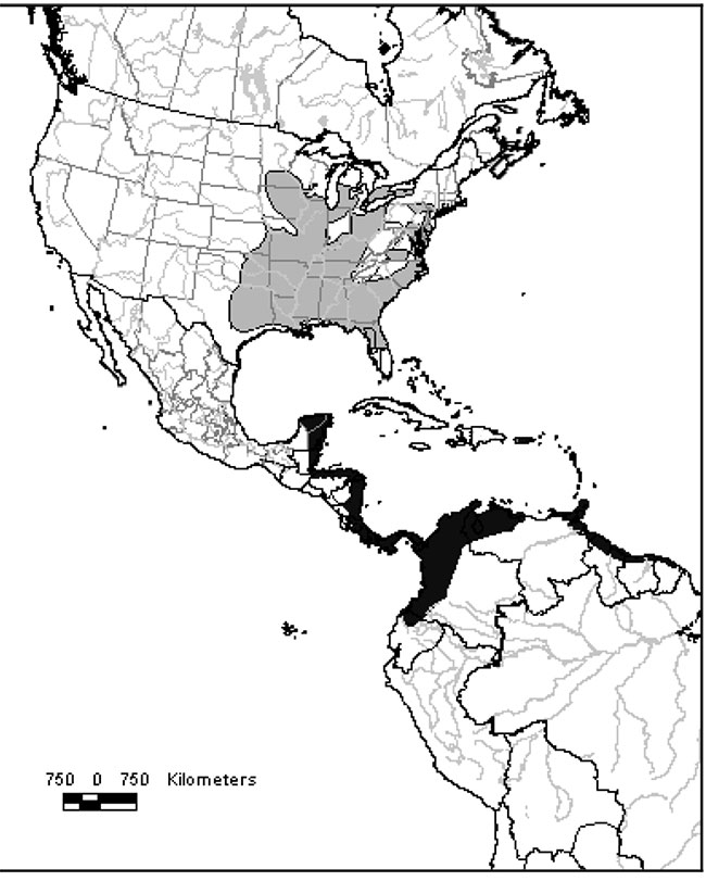 Figure 1 is a map of the breeding and wintering range of the Prothonotary Warbler. The Prothonotary Warbler breeds in the eastern United States and north to extreme southwestern Ontario. Its wintering range extends from southern Mexico through Central America and northern South America.