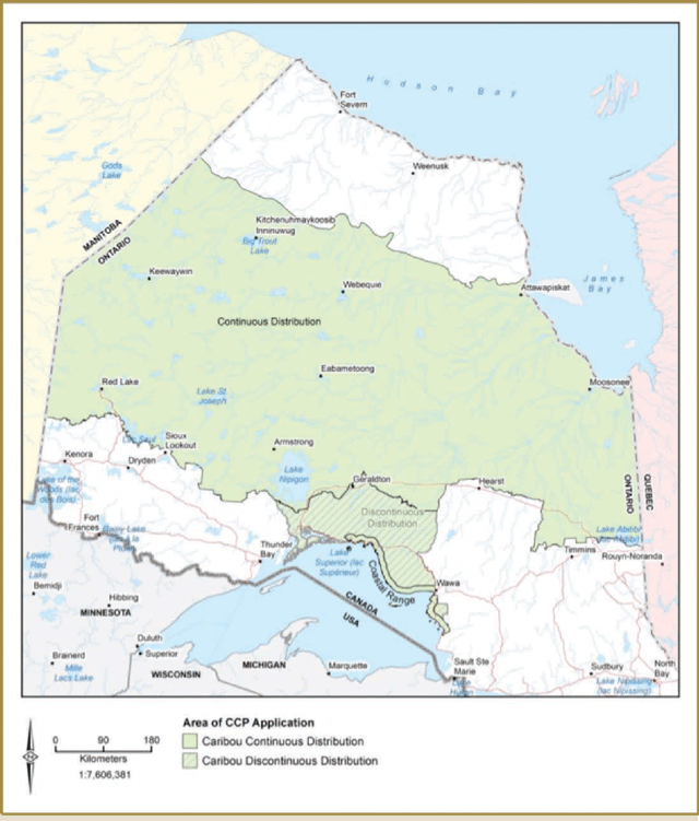 This map of the Northern Ontario depicts the area of Caribou Conservation Plan application. The Continuous Distribution is coloured green and the Discontinuous Distribution also coloured green with green diagonal lines through it.