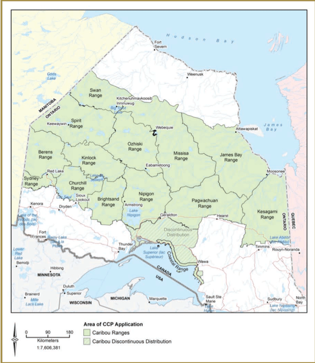 Cette carte du nord de l’Ontario montre les aires du caribou à l’intérieur de la zone où s’applique le Plan de protection du caribou. La Répartition continue est en vert, et la Répartition discontinue est en vert rayé de lignes diagonales vertes.