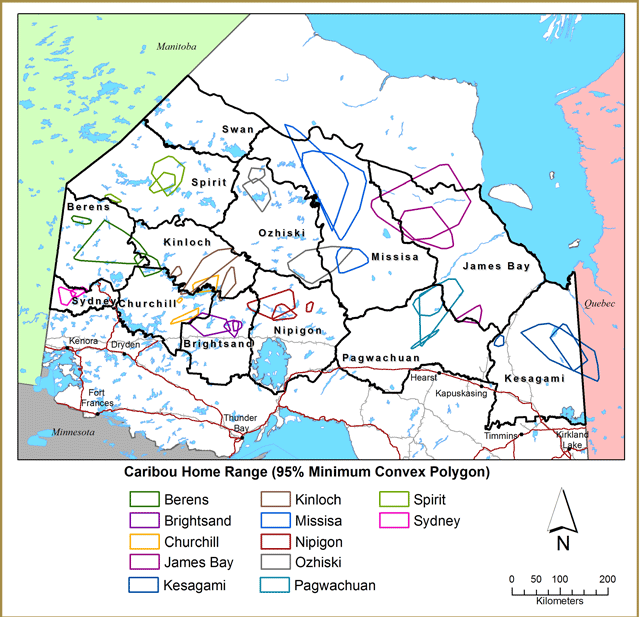 This map depicts caribou home ranges for three collared caribou per range (smallest, largest and the mean home ranges) as determined by 95% minimum convex polygon with each range identified as a different colour.