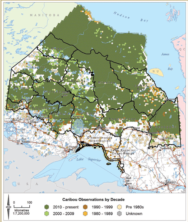 This map depicts caribou home ranges for three collared caribou per range (smallest, largest and the mean home ranges) as determined by 95% kernel density estimate with each range identified as a different colour.