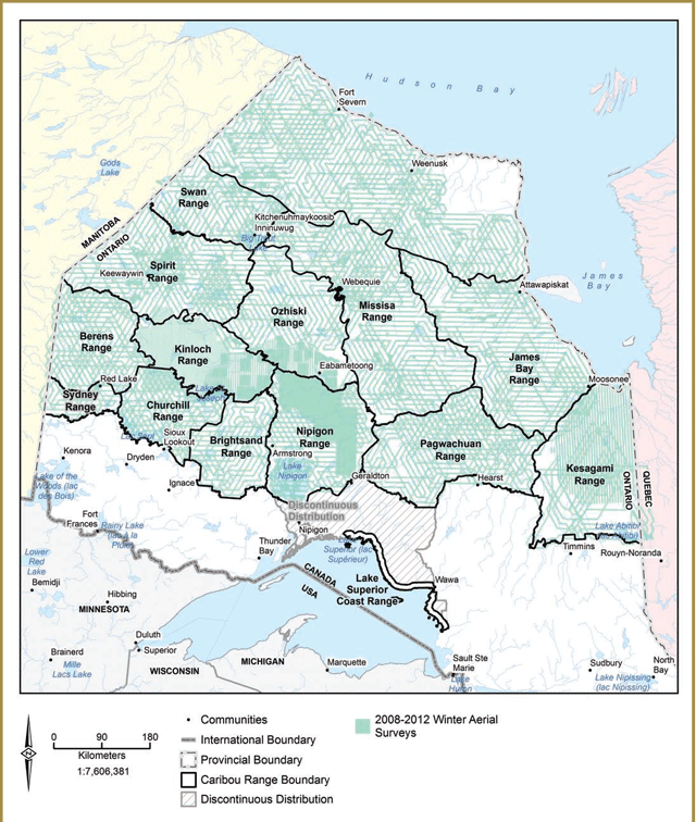 This map of Northern Ontario depicts aerial transects (outlined in aqua) flown by fixed-wing and rotary-wing aircraft surveys.