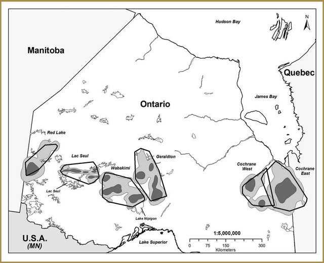 This figure depicts the demographic unit boundaries and core areas of caribou at the southern limit of the ecotype’s Continuous Distribution in Ontario based on analysis of historic telemetry data. Angular polygons outlined in black represent the outer boundaries of the areas used by caribou assigned to different clusters as defined by applying a 100% Minimum Convex Polygon to all caribou locations. Light and dark gray polygons represent boundaries of the areas used by caribou defined using an alternative approach to delineating areas used (i.e., kernel density estimation), that accounts for variation in the intensity of use by caribou assigned to each cluster. The light gray polygons represent the outer boundaries of each area used and delineate the area where there is a 95% probability that cluster members will be found at any given time, based on previously recorded patterns of use. The dark gray polygons represent core use areas, within which there is a 50% probability that cluster members will be found at any given time.