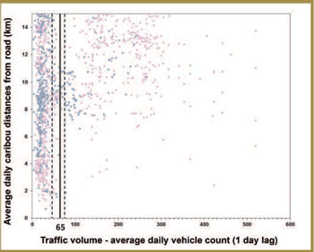 This figure depicts the relationship between traffic volume and average daily caribou distances to a major road. The blue dots represent caribou distances relative to the road in winter. The pink dots represent caribou distances relative to the road in summer. The solid black line represents the threshold traffic volume value (65 vehicle counts per day) at which minimum distances to the road increase and the dashed black lines demarcate the range of uncertainty (i.e., the 80% bootstrapped confidence interval) around the threshold estimate value. 