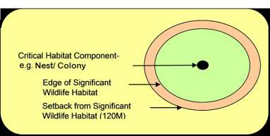 diagram showing critical habitat component (for example, Nest/Colony) surrounded by Edge of Significant Wildlife Habitat, which is surrounded by Setback from Significant Wildlife Habitat