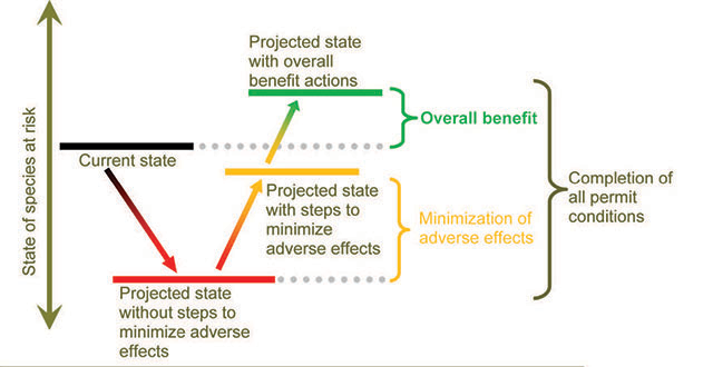 A graphic which outlines how overall benefits are calculated based on projected state without action, projected state with steps to minimise adverse effects, and projected states with overall benefit actions.