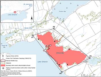 map that shows the area within which critical habitat is found for the Pugnose Shiner in Wellers Bay.
