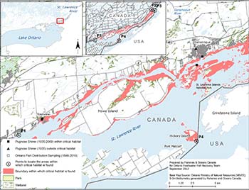 map that shows the area within which critical habitat is found for the Pugnose Shiner in Waupoos Bay.