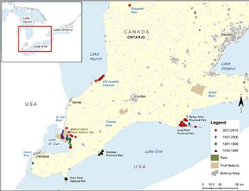 map that shows the distribution of Pugnose Shiner in southwestern Ontario near Lake Erie.