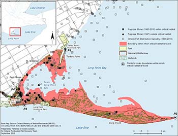 map that shows the area within which critical habitat is found for the Pugnose Shiner in Long Point Bay.