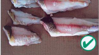 Colour photo of perch and walleye fillets with patch of skin attached in a transparent package. A green checkmark inside a circle is shown on the bottom right of the photo to indicate that it is properly packaged.