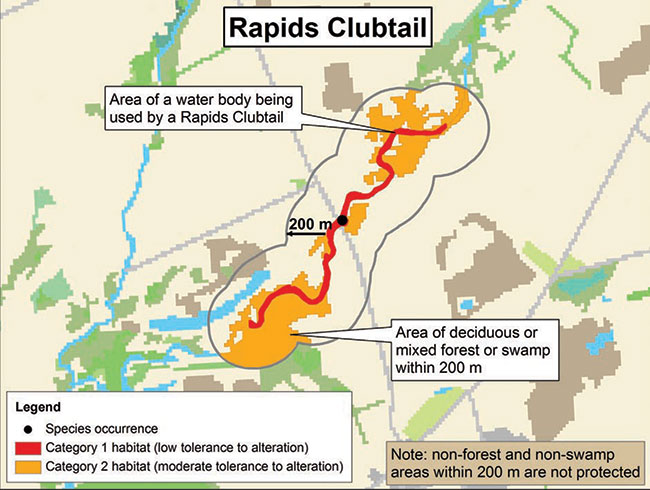 Diagram illustrating a sample application of the habitat regulation for Rapids Clubtail, depicting the habitat categorization described in this document.