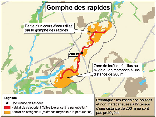 Diagramme servant d’exemple d’application du règlement sur l’habitation du gomphe des rapides. Il illustre la catégorisation d’habitat décrite dans ce document.