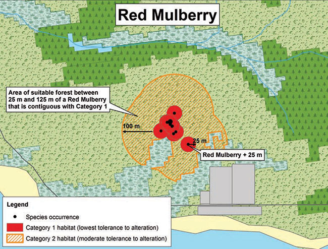 Diagram illustrating a sample application of the general habitat protection for Red Mulberry, depicting the habitat categorization described in this document.