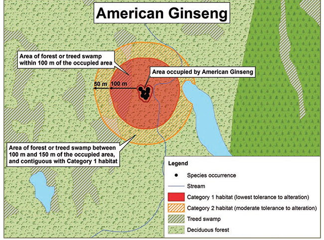 Diagram illustrating a sample application of the general habitat protection for American Ginseng, depicting the habitat categorization described in this document.
