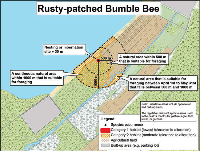 diagram illustrating a sample application of the habitat regulation for Rusty-patched Bumble Bee.