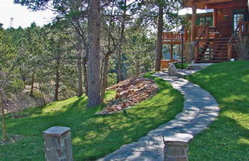 photo of having vegetation farther out from a house.