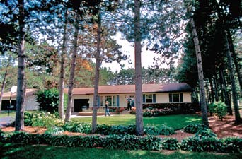 photo of a FireSmart yard in a pine forest.