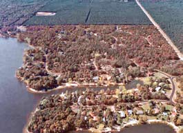 aerial photo of a neighbourhood.