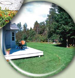 photo of a lean, clean, and green backyard.