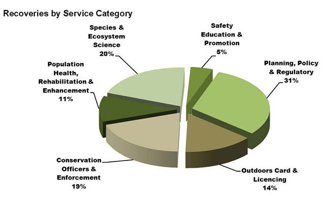 A pie chart illustrating recoveries by service category