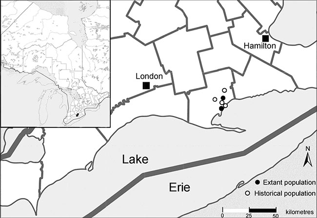 This is figure 2 historical and current distribution of Virginia Goat’s-rue in Ontario