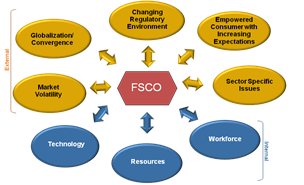 Internal and External Factors Affecting the FSCO