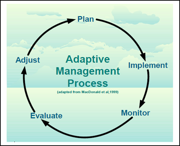Image of Adaptive Management Process